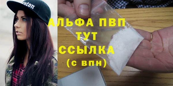 спиды Корсаков
