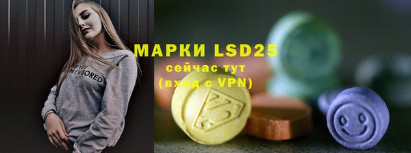 молекула духа Новозыбков