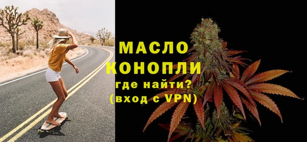 молекула духа Новозыбков