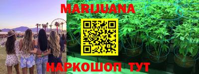 гидра Волжский