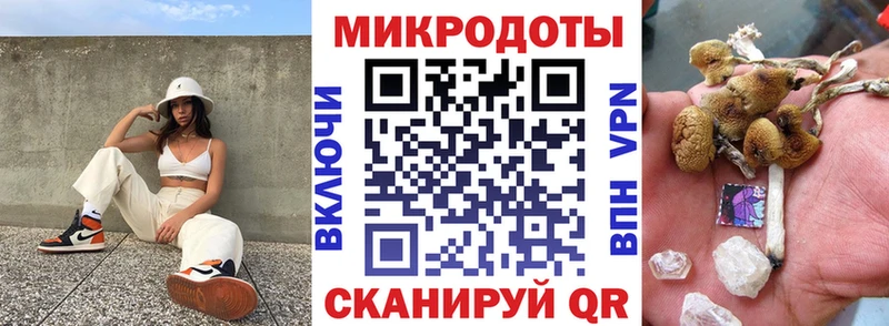 где найти   Губкинский  сайты даркнета телеграм  Псилоцибиновые грибы Psilocybe 