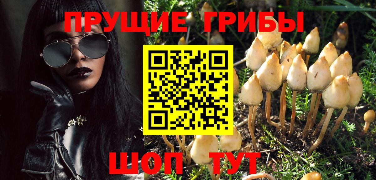 Псилоцибиновые грибы мухоморы Губкинский