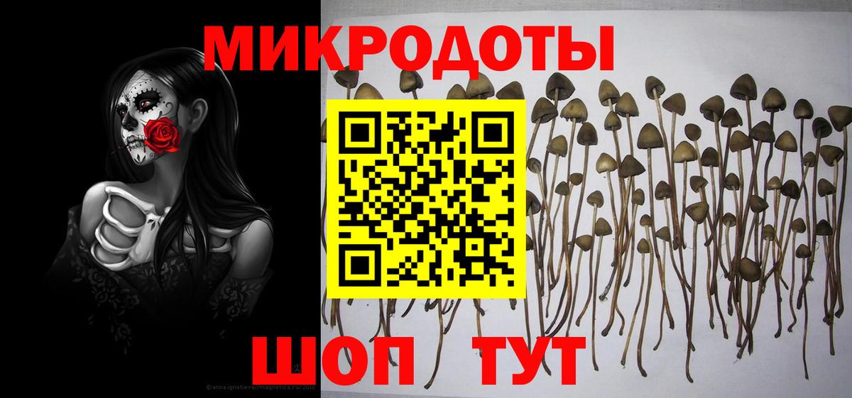 Галлюциногенные грибы ЛСД Губкинский