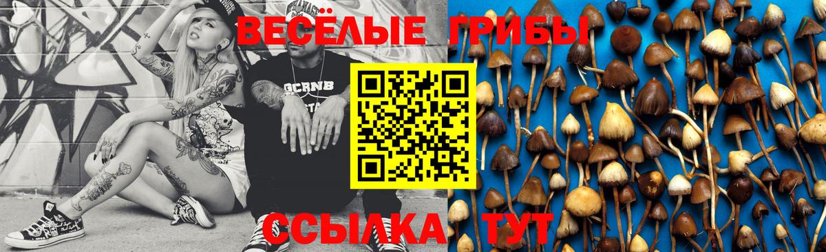 Галлюциногенные грибы Psilocybe  Вход с VPN  Губкинский  Галлюциногенные грибы MAGIC MUSHROOMS 